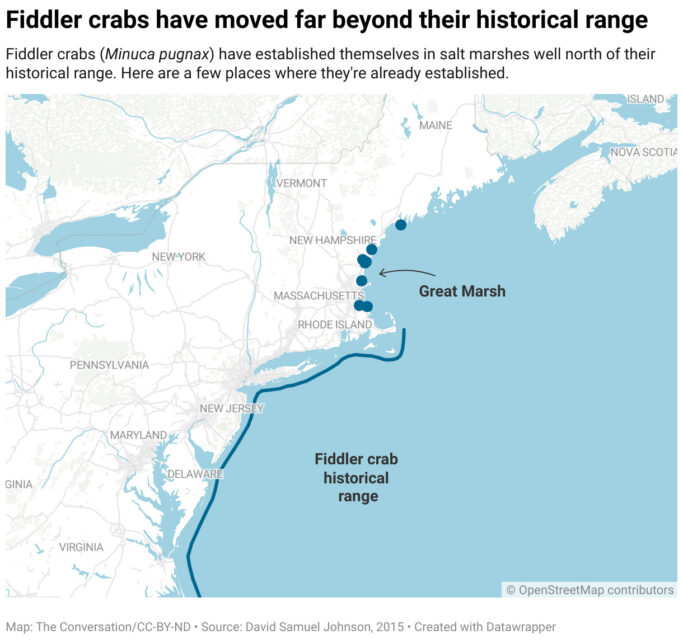 A map showing the historical range of fiddler crabs from Virginia through the southern coast of Cape Cod and the recent sightings of fiddler crabs along the northern coast of Massachusetts and New Hampshire.