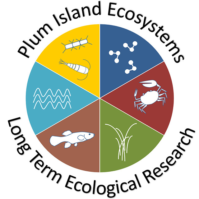 Project Logo
