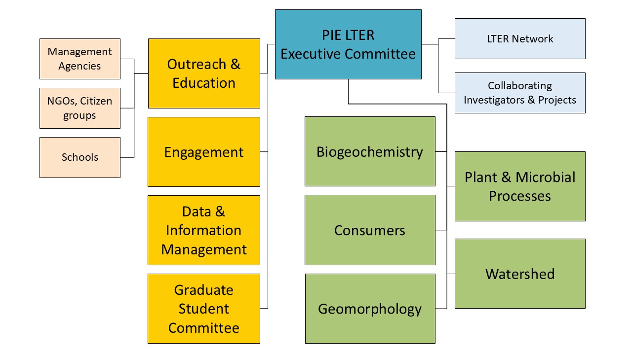 PIE-Organizational-Chart-1 PIE-Organizational-Chart-1