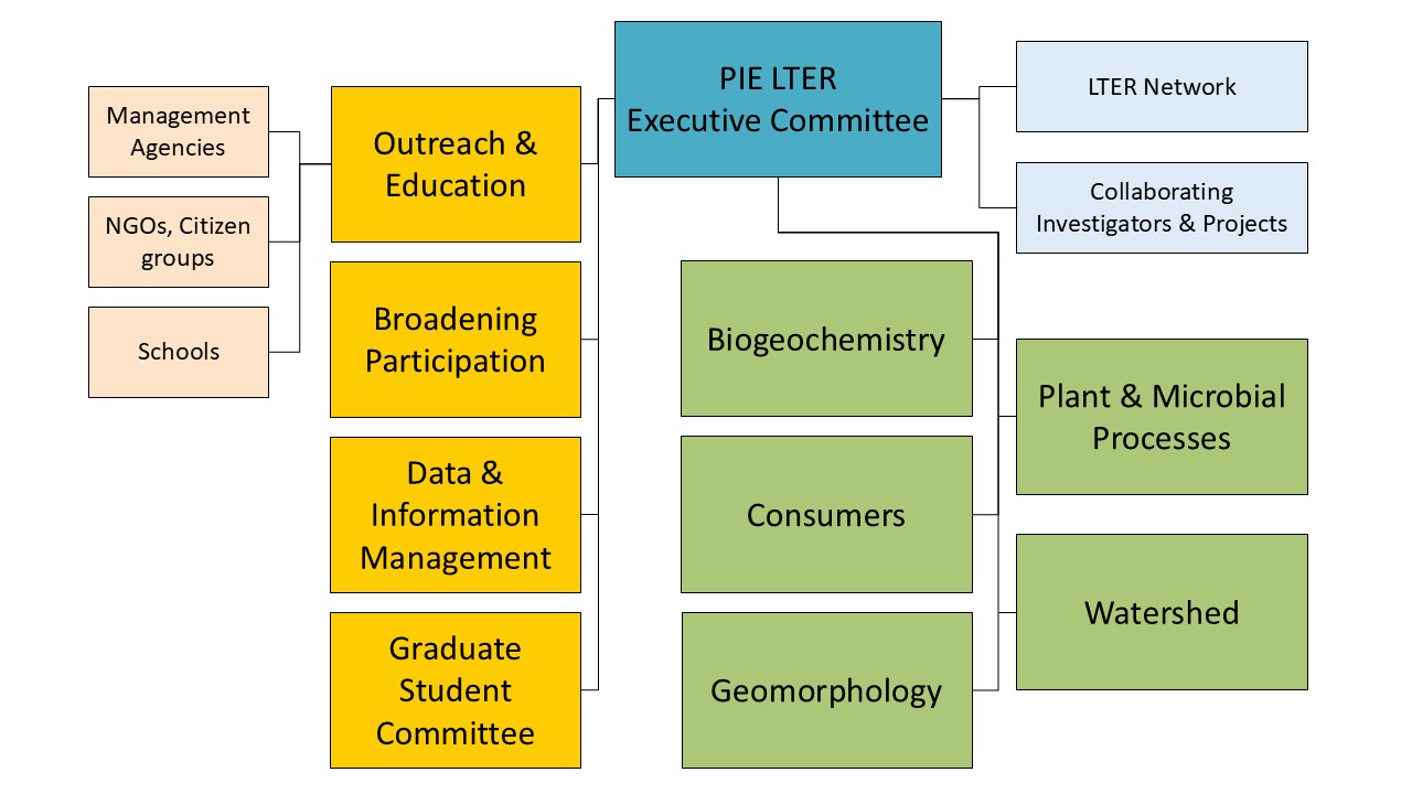 PIE-Organizational-Chart-2